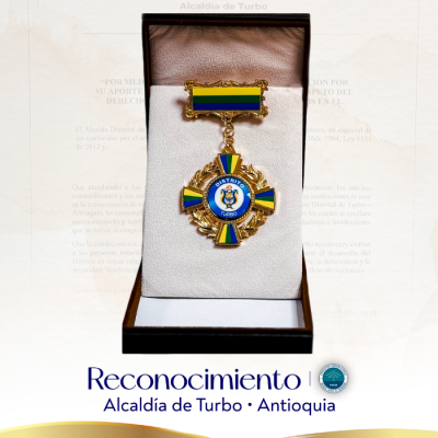 web-reconocimiento-turbo